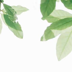 亚洲第一人综合欧美色图
